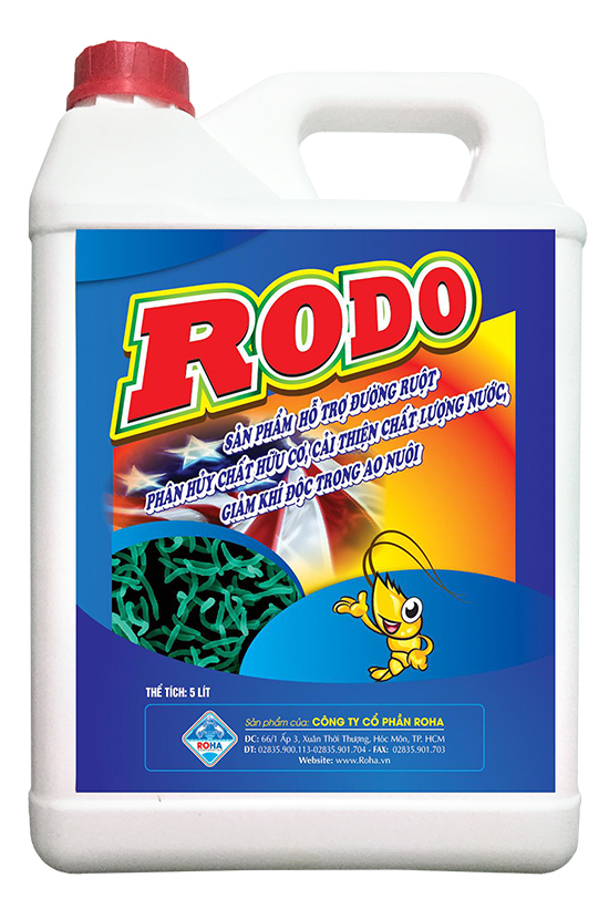 RODO